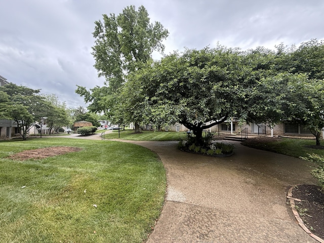 175 Malabu Dr Unit 60, Lexington, KY 40503 - view of grassy yard