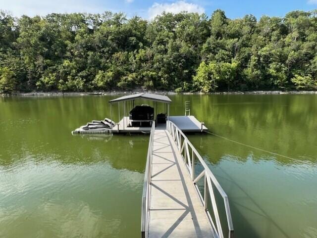1990 Wells Landing Rd, Danville, KY 40422 - dock area featuring a water view and a view of trees