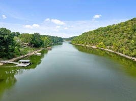 1990 Wells Landing Rd, Danville, KY 40422 - water view featuring a heavily wooded area