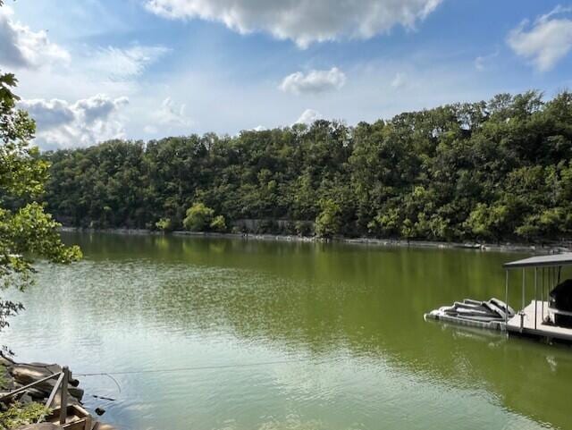 1990 Wells Landing Rd, Danville, KY 40422 - water view with a heavily wooded area and a floating dock