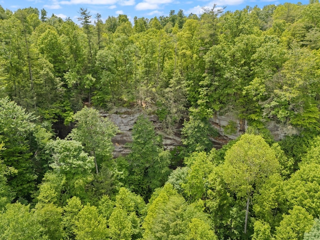 222 Muir Rd, Rogers, KY 41365 - bird's eye view of a forest