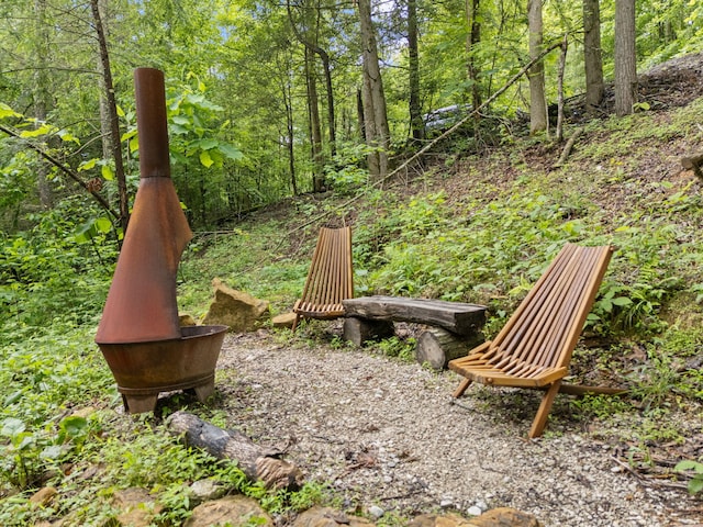 222 Muir Rd, Rogers, KY 41365 - view of yard featuring a forest view