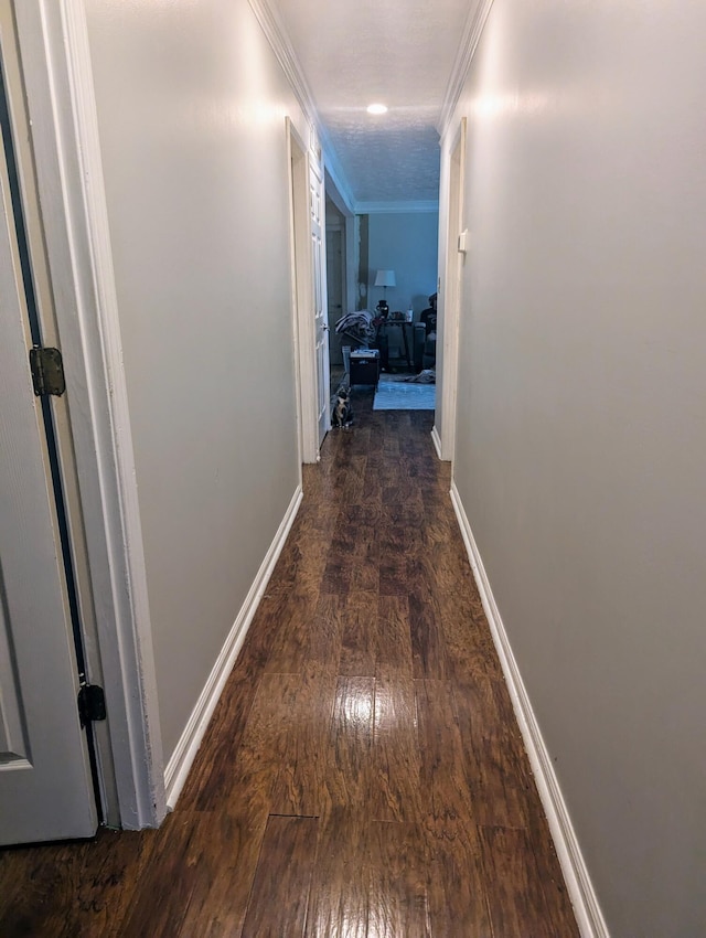 400 Verna Dr, Winchester, KY 40391 - hall featuring hardwood / wood-style floors, baseboards, and crown molding