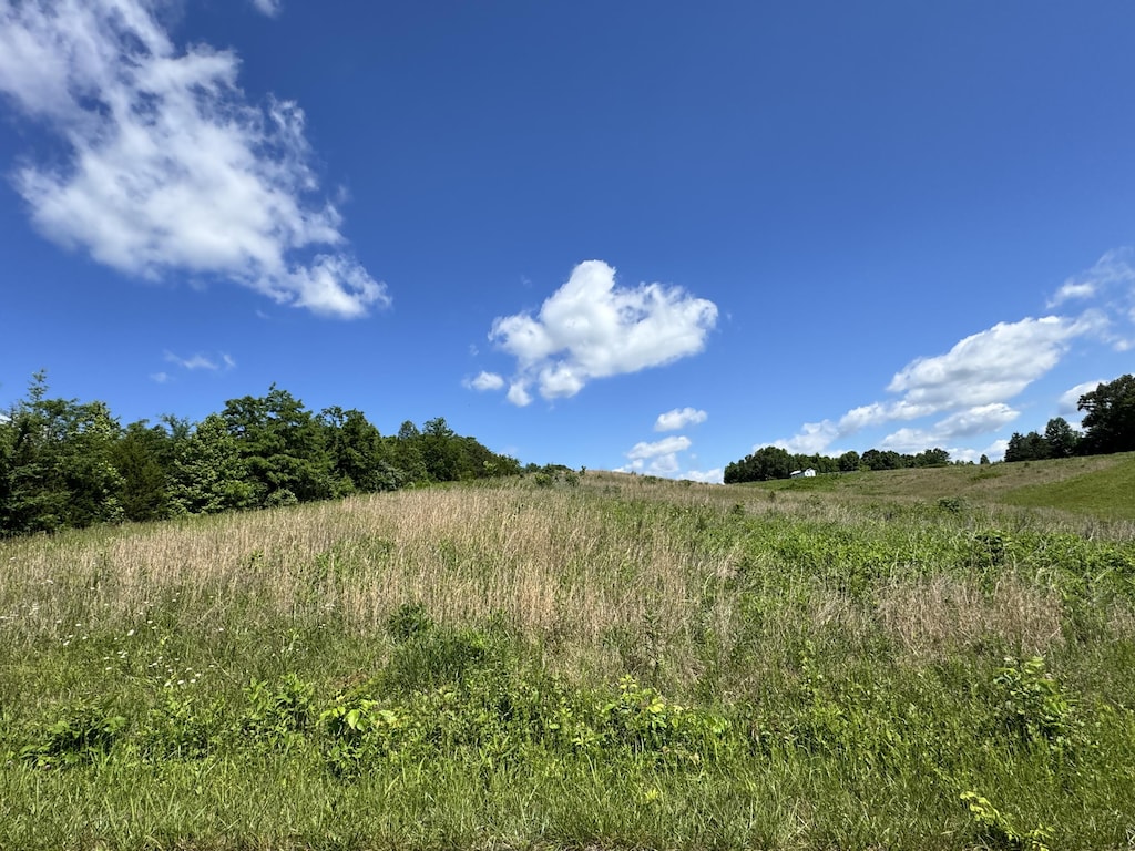 Tract Kimber Drive, Nancy, KY 42544