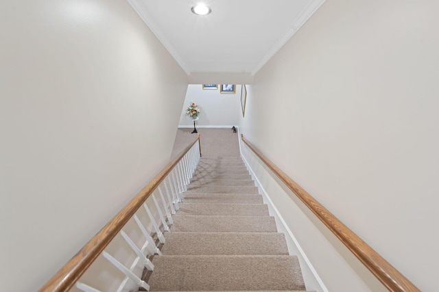 6A Charleston Greene, Danville, KY 40422 - stairs featuring carpet, crown molding, recessed lighting, and baseboards