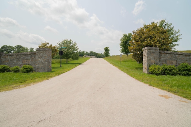 20 Walnut Hill Ct, Cynthiana, KY 41031 - view of asphalt street