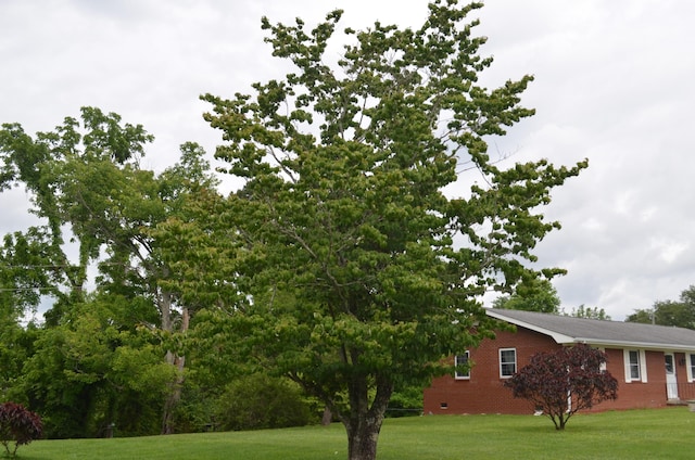 155 Greenfield Subdivision, Corbin, KY 40701 - view of grassy yard