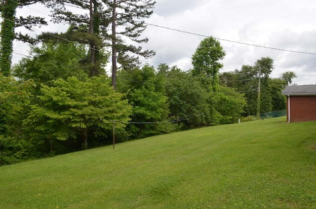 155 Greenfield Subdivision, Corbin, KY 40701 - view of green lawn
