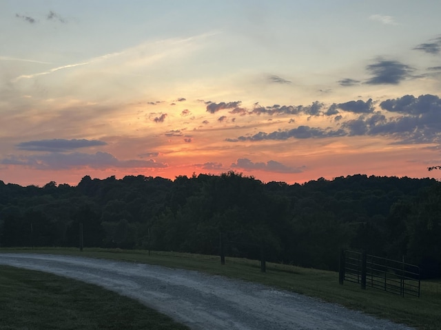 132 Harvieland Rd, Frankfort, KY 40601 - mountain view with a forest
