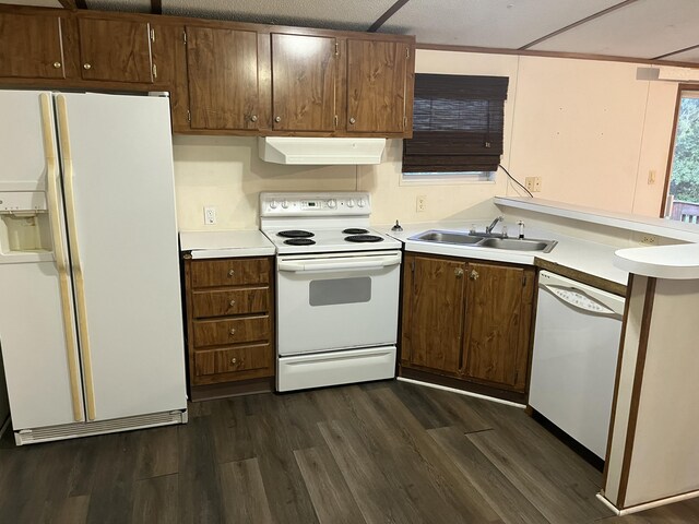 132 Harvieland Rd, Frankfort, KY 40601 - kitchen with white appliances, ventilation hood, a sink, dark wood-style floors, and light countertops