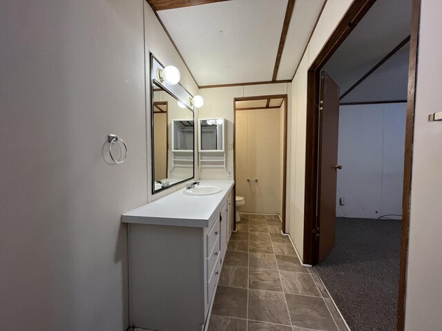 132 Harvieland Rd, Frankfort, KY 40601 - bathroom featuring vanity, toilet, and stone finish floors