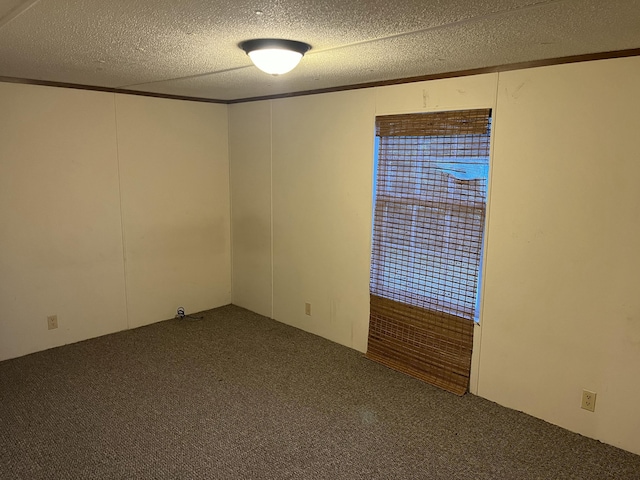 132 Harvieland Rd, Frankfort, KY 40601 - empty room with carpet flooring and a textured ceiling