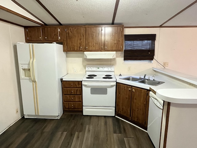 132 Harvieland Rd, Frankfort, KY 40601 - kitchen with white appliances, under cabinet range hood, a sink, dark wood-style floors, and a textured ceiling