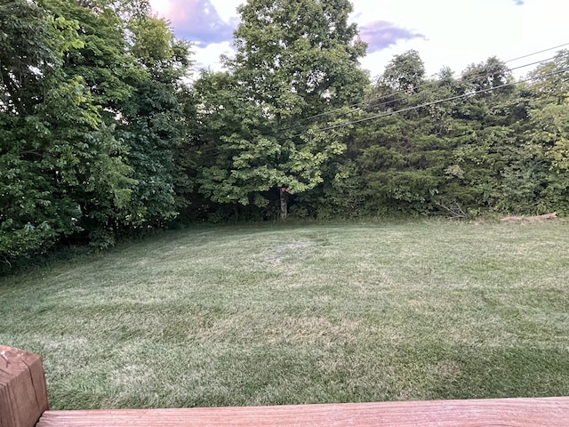 132 Harvieland Rd, Frankfort, KY 40601 - view of grassy yard