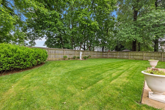 2293 Sunningdale Dr, Lexington, KY 40509 - view of yard