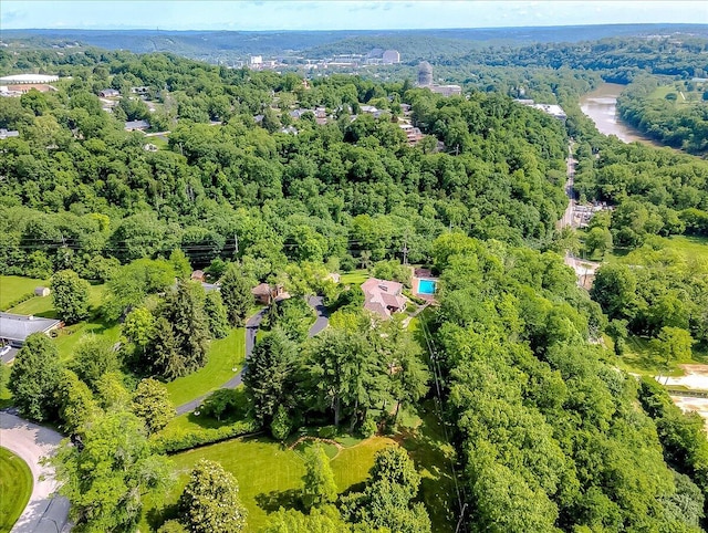 523 Leawood Dr, Frankfort, KY 40601 - drone / aerial view of a heavily wooded area
