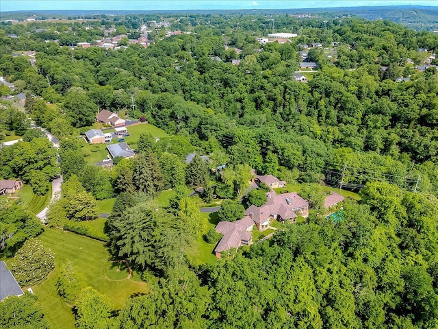 523 Leawood Dr, Frankfort, KY 40601 - aerial view of a forest