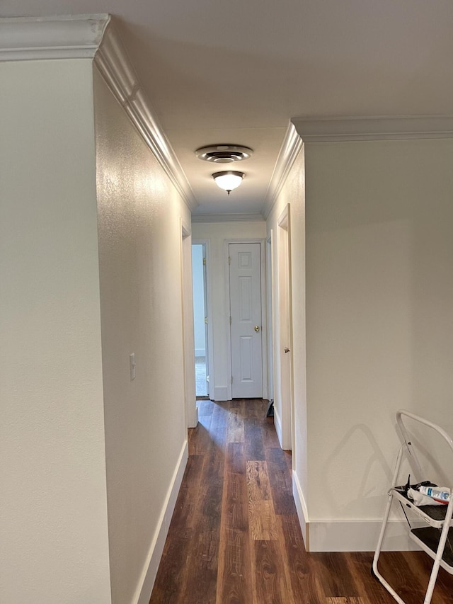 77 Travis Burchfield Rd, Strunk, KY 42649 - corridor featuring crown molding, dark wood-style floors, and baseboards