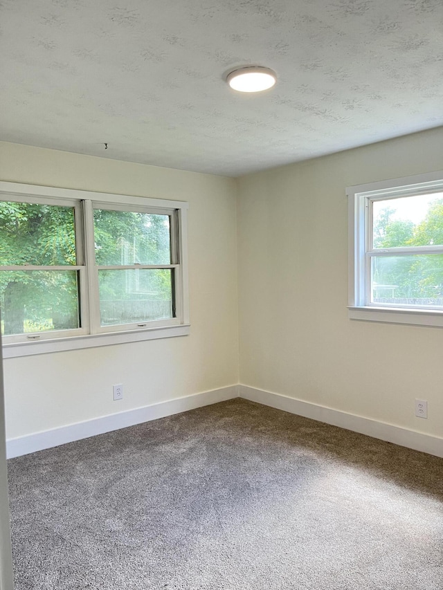 77 Travis Burchfield Rd, Strunk, KY 42649 - carpeted spare room with baseboards