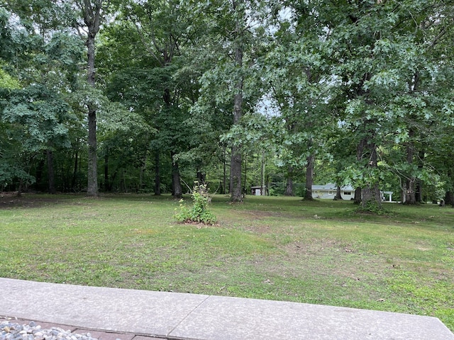 77 Travis Burchfield Rd, Strunk, KY 42649 - view of grassy yard