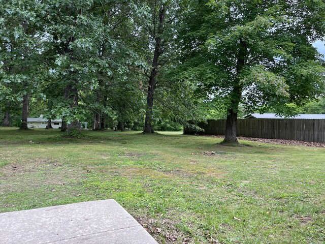 77 Travis Burchfield Rd, Strunk, KY 42649 - view of yard