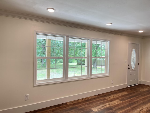 77 Travis Burchfield Rd, Strunk, KY 42649 - foyer entrance with plenty of natural light, ornamental molding, baseboards, and dark wood-type flooring