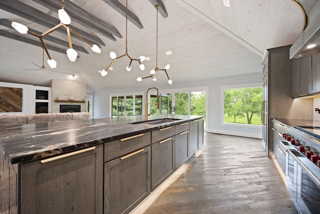 104 Barkley Ests, Nicholasville, KY 40356 - kitchen with light wood-style floors, range with two ovens, a sink, a fireplace, and ventilation hood