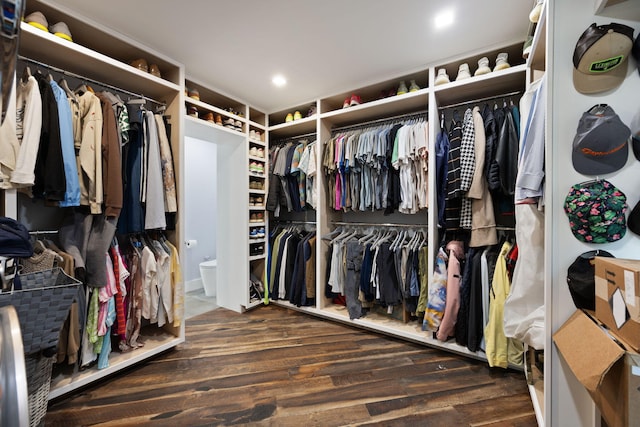 104 Barkley Ests, Nicholasville, KY 40356 - spacious closet with wood finished floors