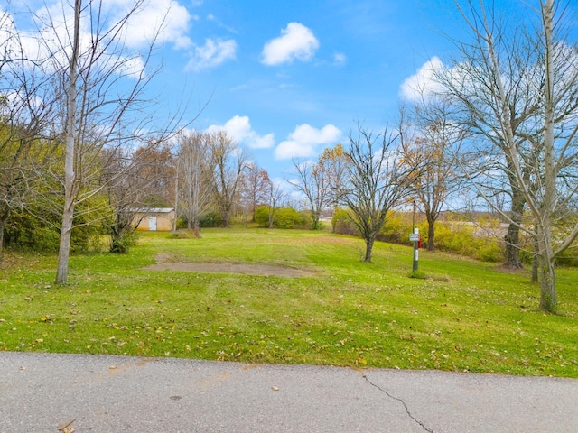 104 Barkley Ests, Nicholasville, KY 40356 - view of grassy yard