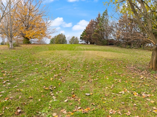 104 Barkley Ests, Nicholasville, KY 40356 - view of green lawn