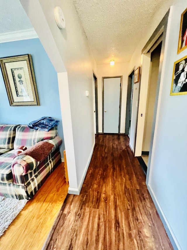 1465 Ky-1629, Corbin, KY 40701 - hallway with wood finished floors, a textured ceiling, and baseboards