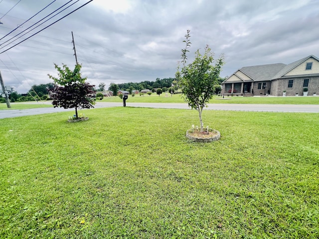 1465 Ky-1629, Corbin, KY 40701 - view of grassy yard