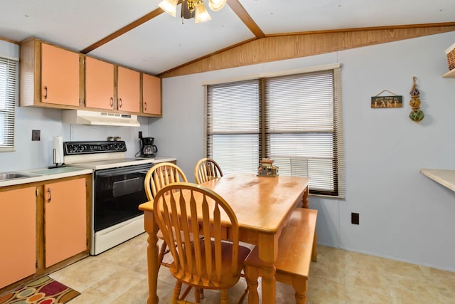 14 Scarlets Way, Bronston, KY 42518 - kitchen featuring electric stove, under cabinet range hood, lofted ceiling, light countertops, and a ceiling fan