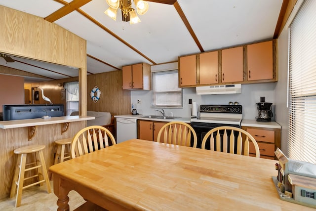 14 Scarlets Way, Bronston, KY 42518 - kitchen with white appliances, under cabinet range hood, a ceiling fan, a sink, and light countertops