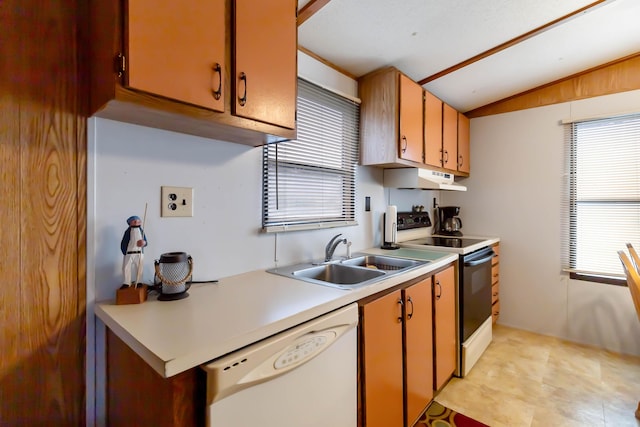 14 Scarlets Way, Bronston, KY 42518 - kitchen with white dishwasher, range with electric stovetop, a sink, vaulted ceiling, and light countertops