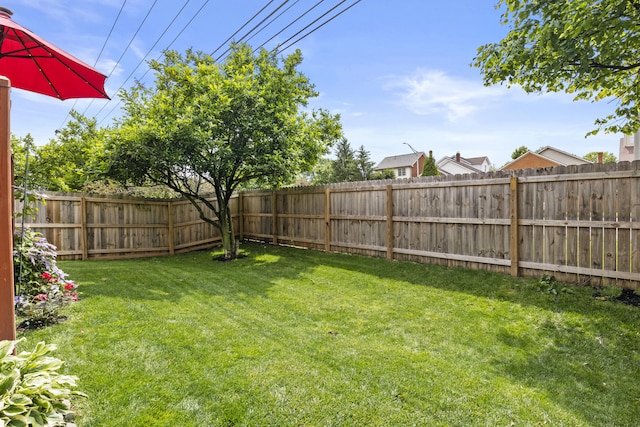 3648 Cottage Cir, Lexington, KY 40513 - view of yard