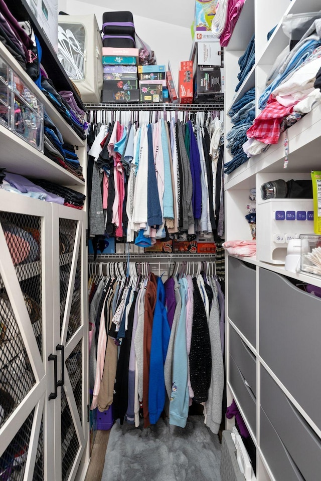 116 Hackberry Ct, Frankfort, KY 40601 - view of spacious closet