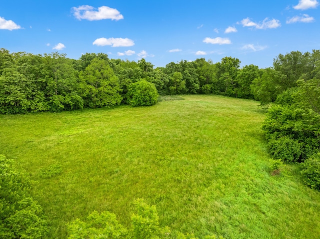 830 Delaplain Rd, Georgetown, KY 40324 - view of green lawn featuring a wooded view