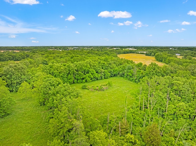 830 Delaplain Rd, Georgetown, KY 40324 - drone / aerial view of a forest