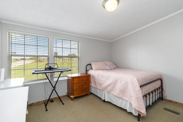 460 Keller Ln, Science Hill, KY 42553 - bedroom featuring crown molding, light colored carpet, and baseboards