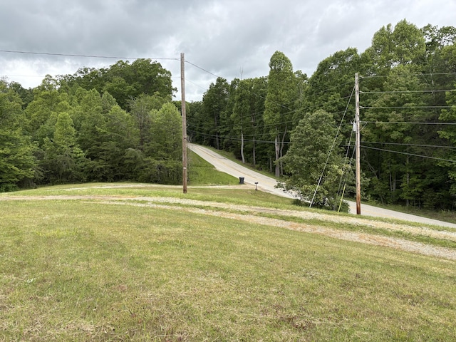 2671 Ky 1036, Zachariah, KY 41301 - view of green lawn featuring a wooded view
