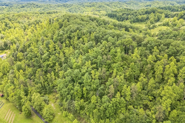 1518 Bryant Fork Rd, Ezel, KY 41425