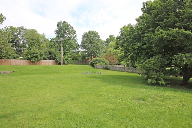 937 Mason Headley Rd, Lexington, KY 40504 - view of yard
