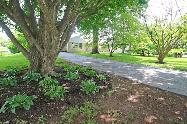 937 Mason Headley Rd, Lexington, KY 40504 - view of front facade featuring a front yard