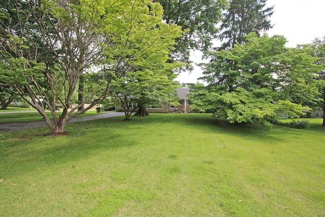 937 Mason Headley Rd, Lexington, KY 40504 - view of green lawn