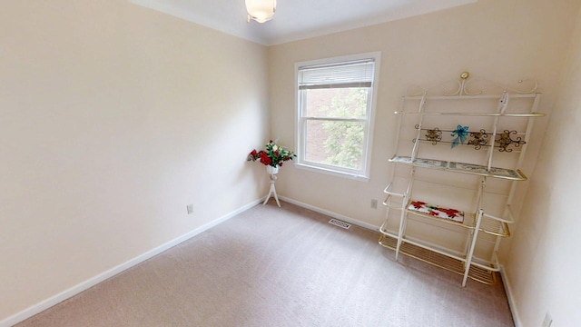 281 Osage Ct, Lexington, KY 40509 - spare room with carpet flooring and baseboards