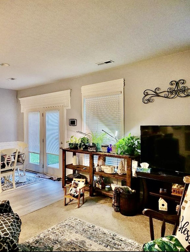 133 Mcintosh Park, Georgetown, KY 40324 - living area featuring carpet floors and a textured ceiling