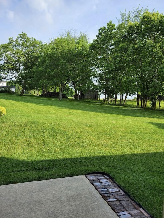 133 W Mcintosh Park, Georgetown, KY 40324 - view of green lawn