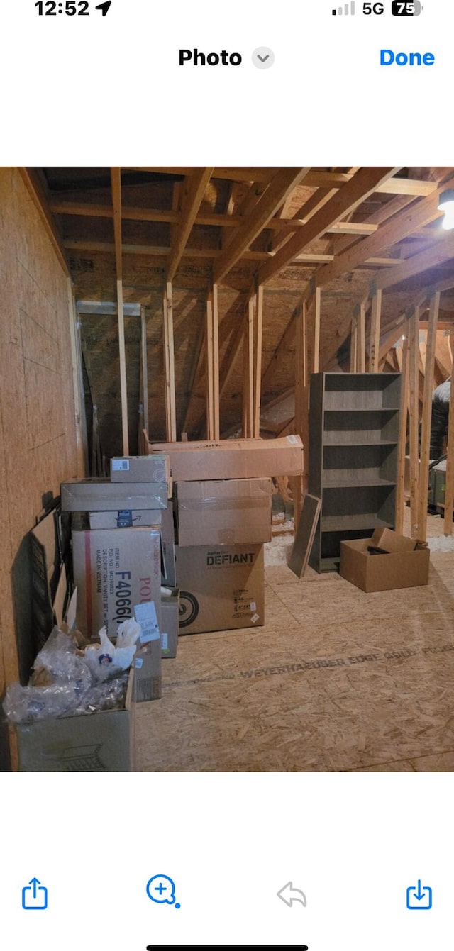 133 Mcintosh Park, Georgetown, KY 40324 - view of attic