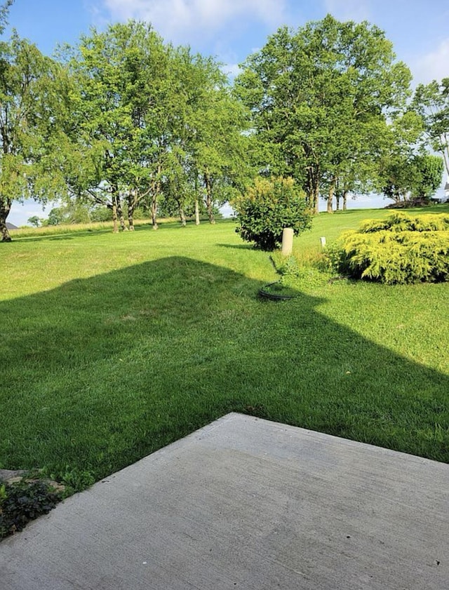 133 W Mcintosh Park, Georgetown, KY 40324 - view of grassy yard with a patio area